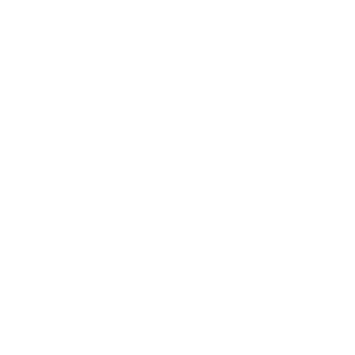New Twitter Icon